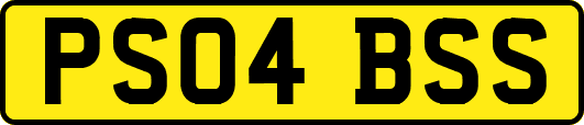 PS04BSS