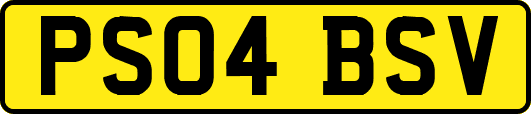 PS04BSV