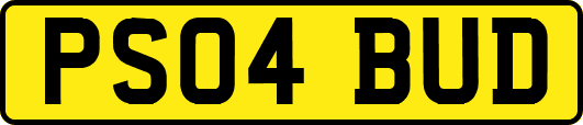 PS04BUD