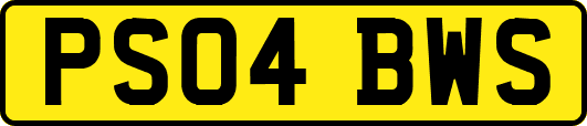 PS04BWS