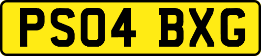 PS04BXG
