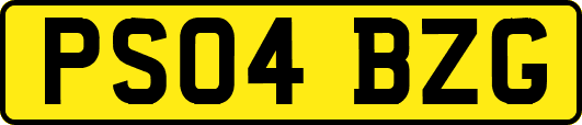 PS04BZG