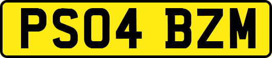 PS04BZM