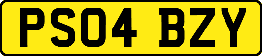 PS04BZY