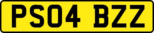 PS04BZZ
