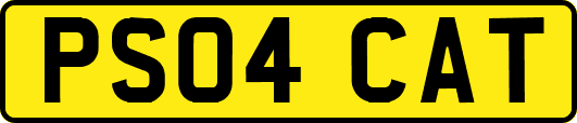 PS04CAT