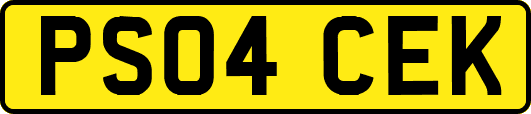 PS04CEK