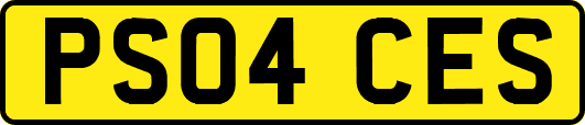 PS04CES