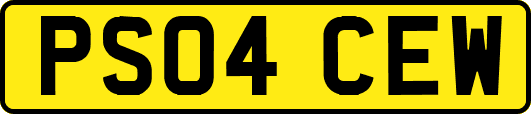 PS04CEW