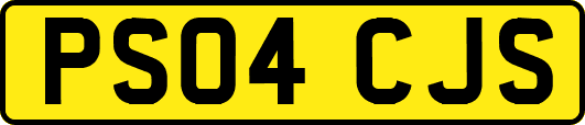 PS04CJS