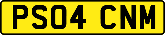 PS04CNM