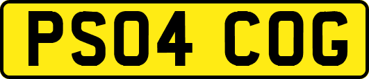 PS04COG