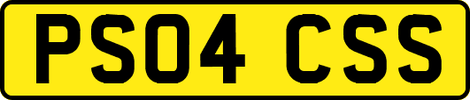 PS04CSS