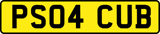 PS04CUB