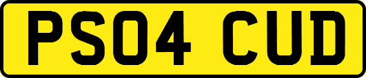 PS04CUD