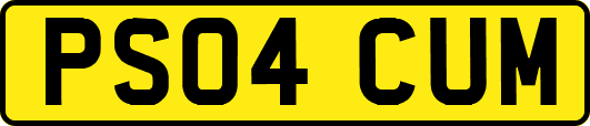 PS04CUM
