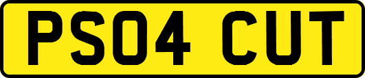 PS04CUT