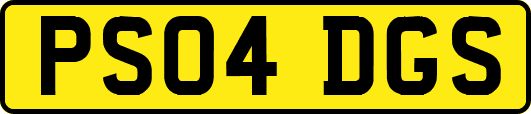 PS04DGS