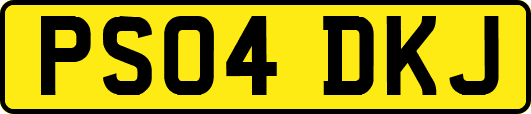 PS04DKJ