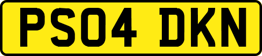 PS04DKN