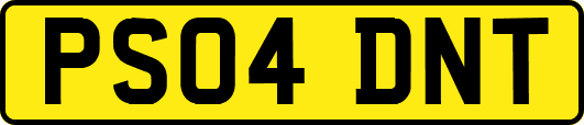 PS04DNT