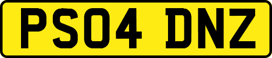 PS04DNZ