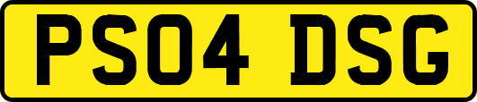PS04DSG