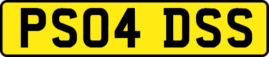 PS04DSS