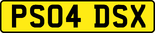PS04DSX