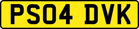 PS04DVK