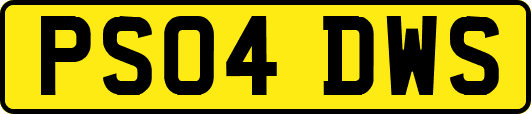 PS04DWS