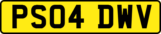 PS04DWV