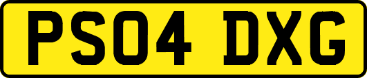 PS04DXG
