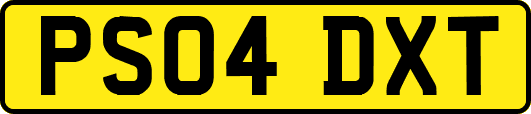 PS04DXT