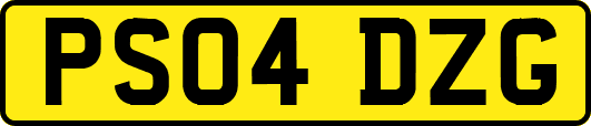 PS04DZG