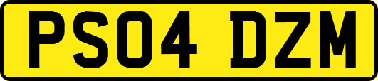 PS04DZM