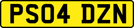 PS04DZN