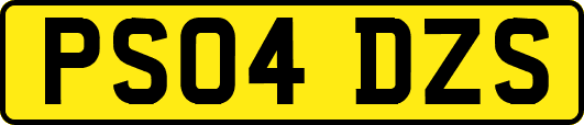 PS04DZS