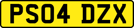 PS04DZX