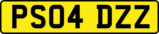 PS04DZZ