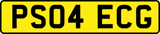 PS04ECG