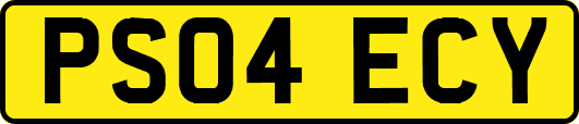 PS04ECY