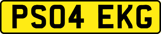 PS04EKG