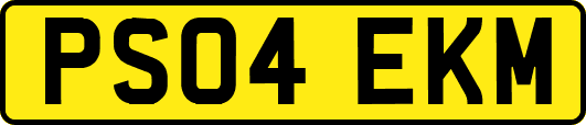 PS04EKM