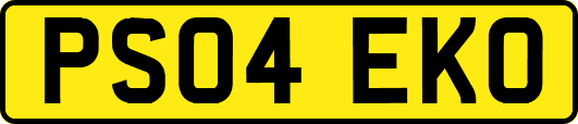 PS04EKO