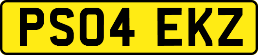 PS04EKZ