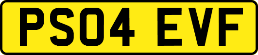 PS04EVF