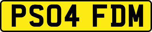 PS04FDM