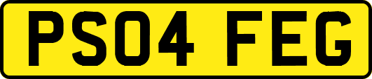 PS04FEG