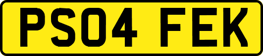 PS04FEK